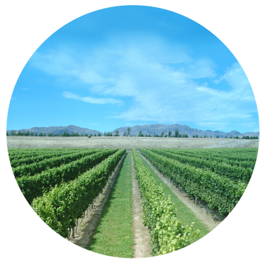 Te Kairanga Estate